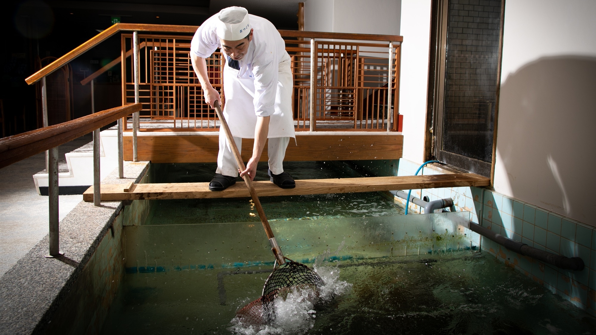 [Akuarium] Untuk menjaga kesegaran ikan yang kami terima setiap pagi, kami memiliki akuarium di lokasi.