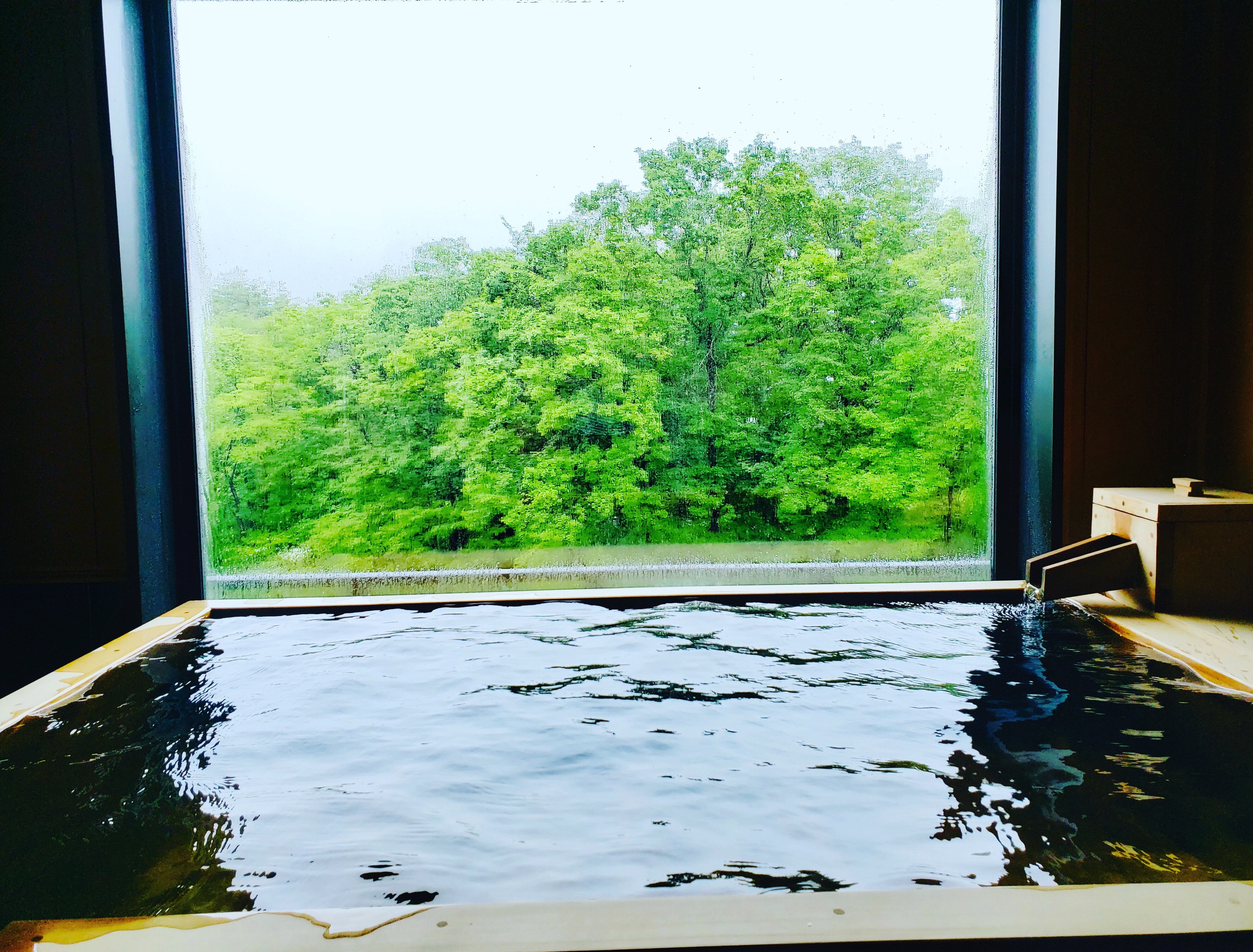 [Guest room: Hinoki wood bath]