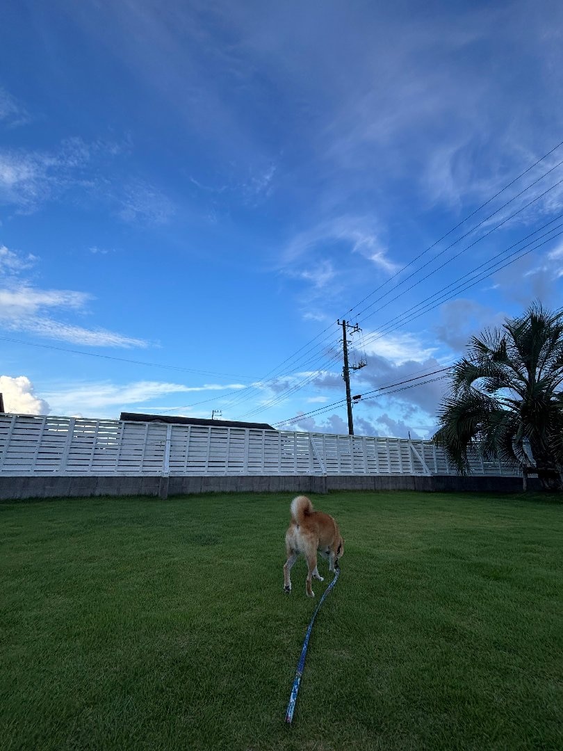 3503C624-6E7B-43A0-A034-91267900EE09.jpeg
