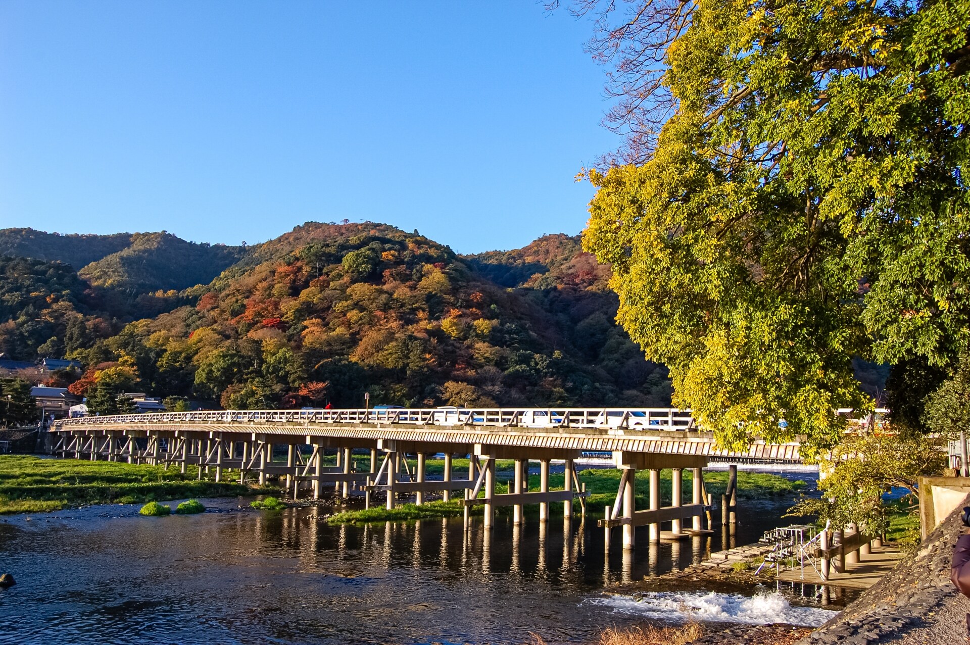 岚山_红叶