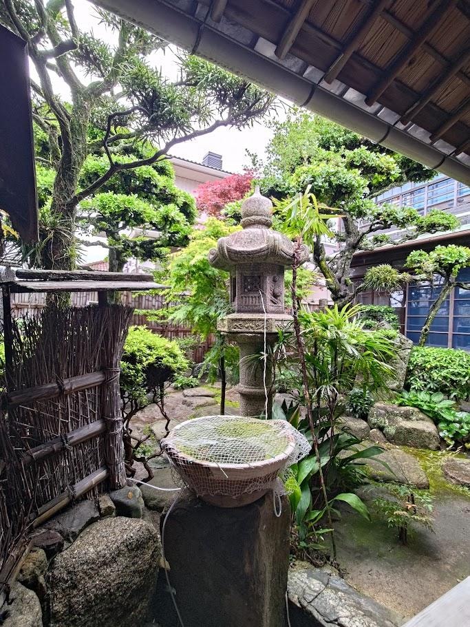 P_20260427_080521.jpg