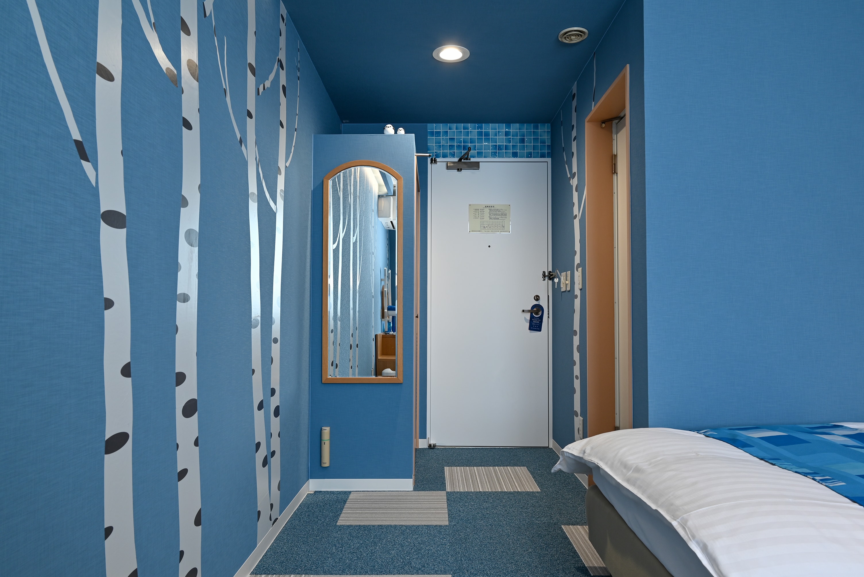Blue Pond Room Corridor