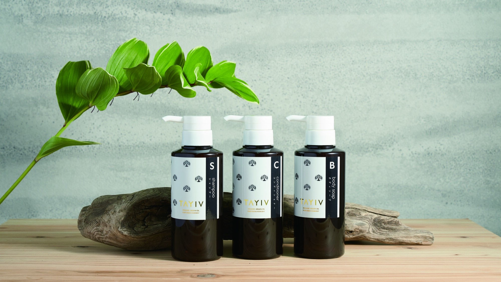 Image of guest room amenities
