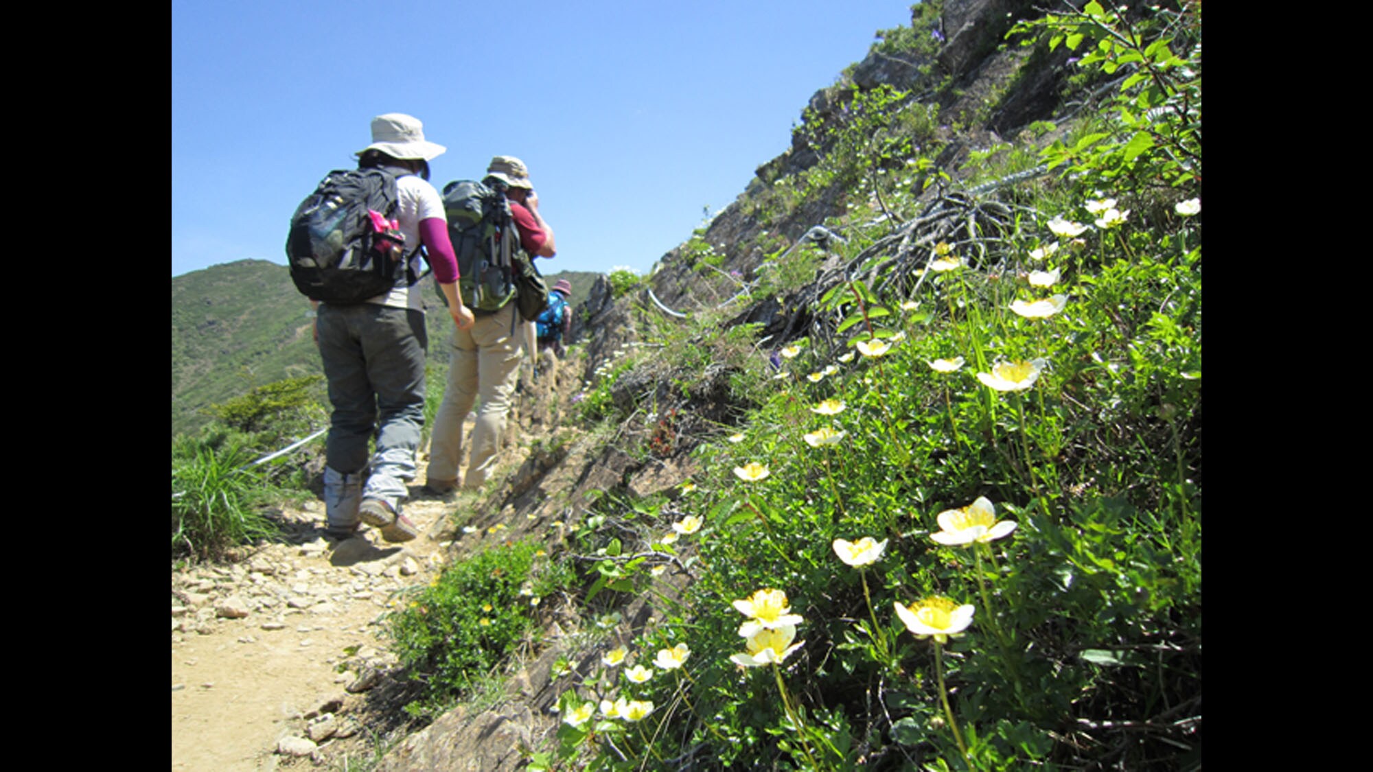 [Mount Apoi mountain climbing]