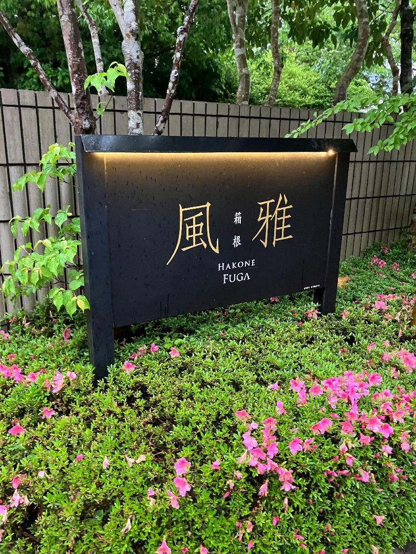 IMG_5903.jpeg