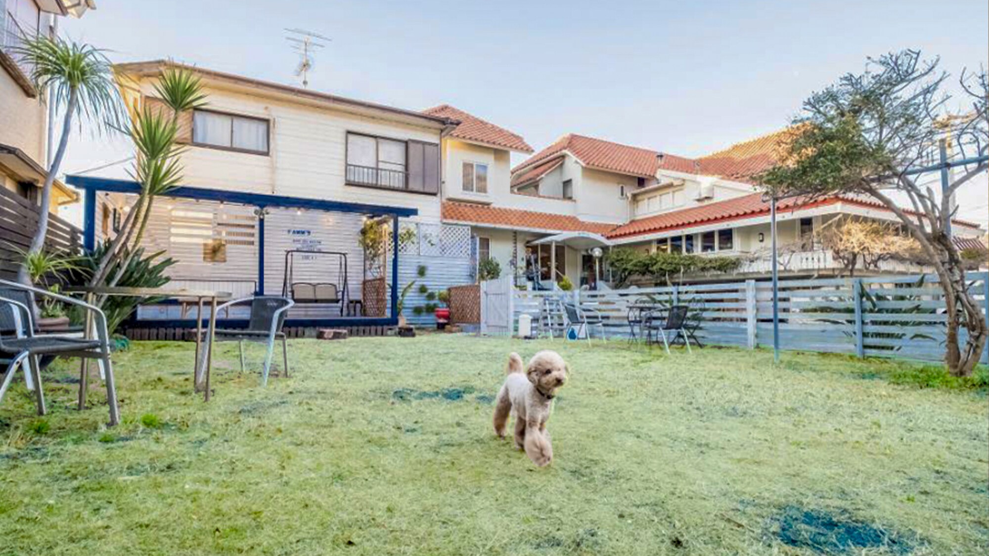 [Dog run] A 230m2 dog run adjacent to the inn with a large covered wooden deck
