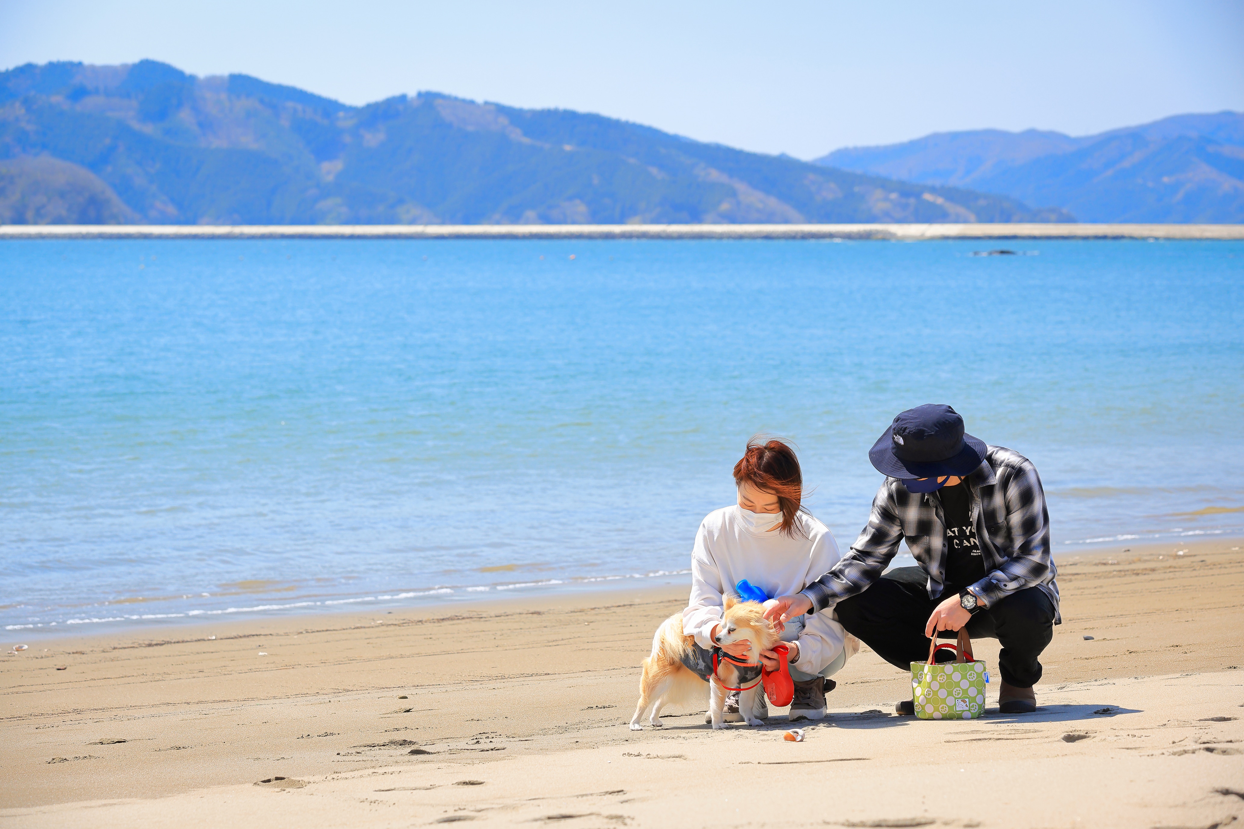 สวนสาธารณะชายหาดชิราฮามะ เดิน 10 นาที