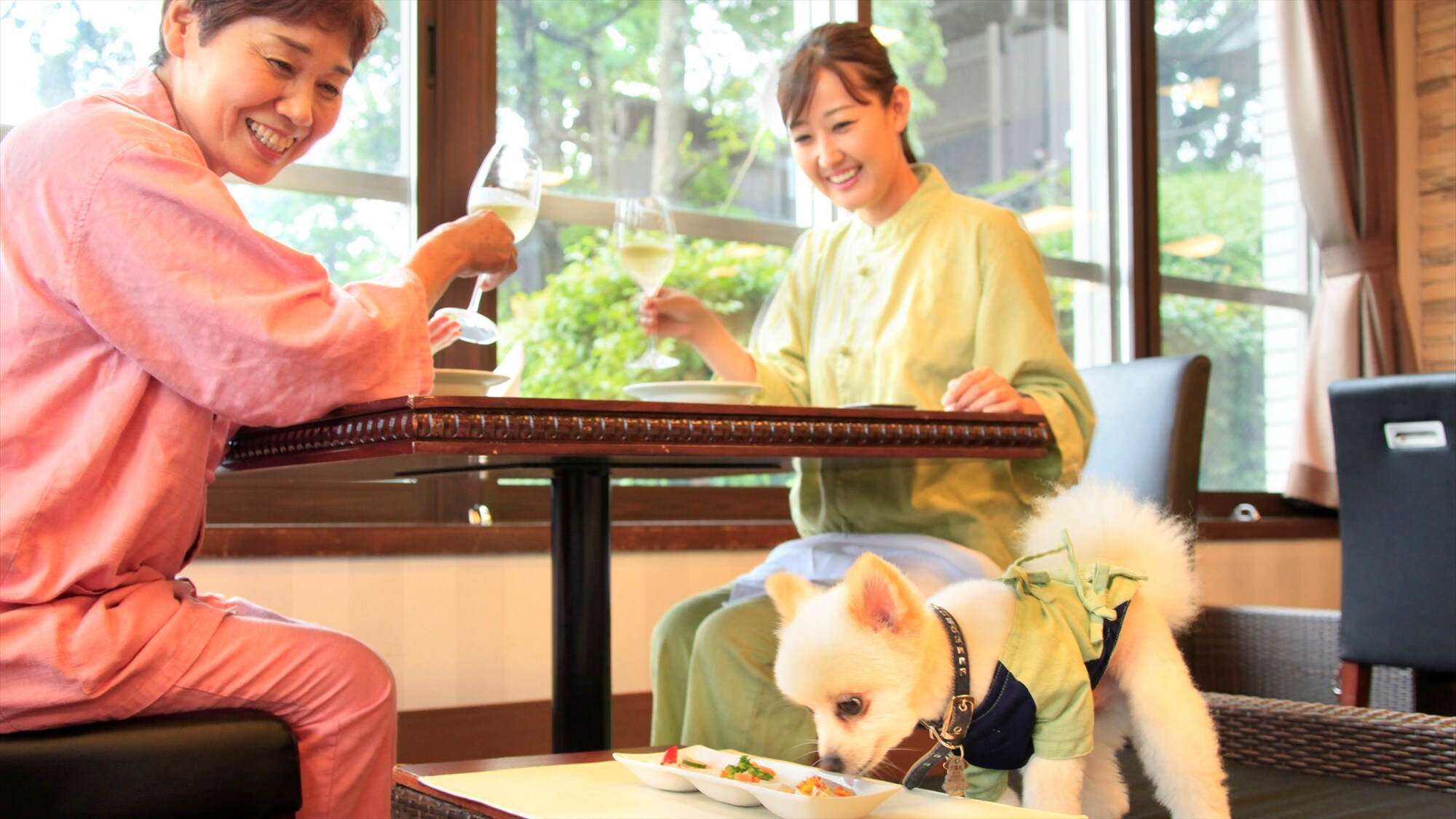 [Restaurant] Of course, the seating is also equipped with dog sofas.