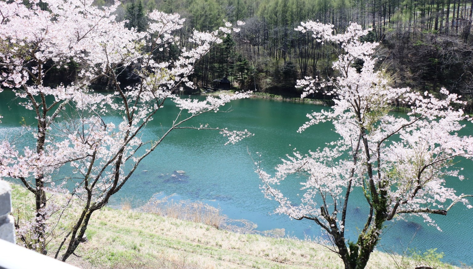 房間景觀