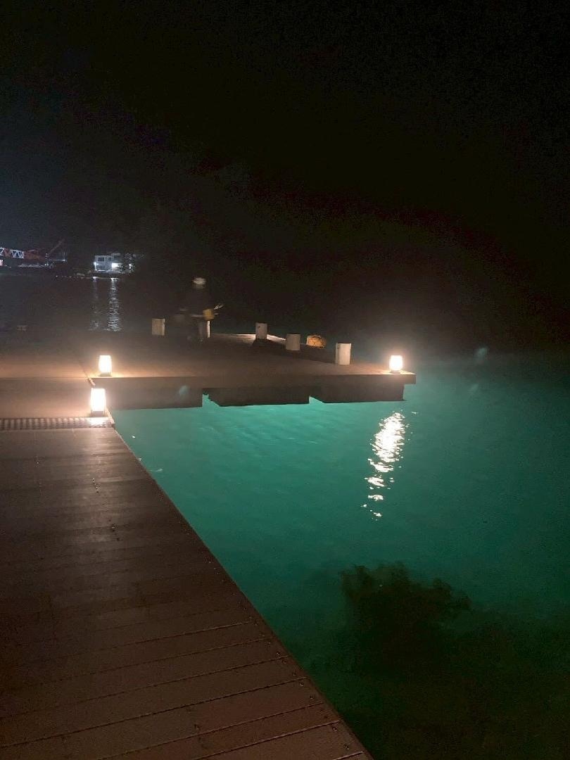 iOS の画像 (4).jpg