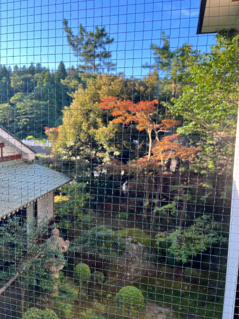 IMG_6548.jpeg