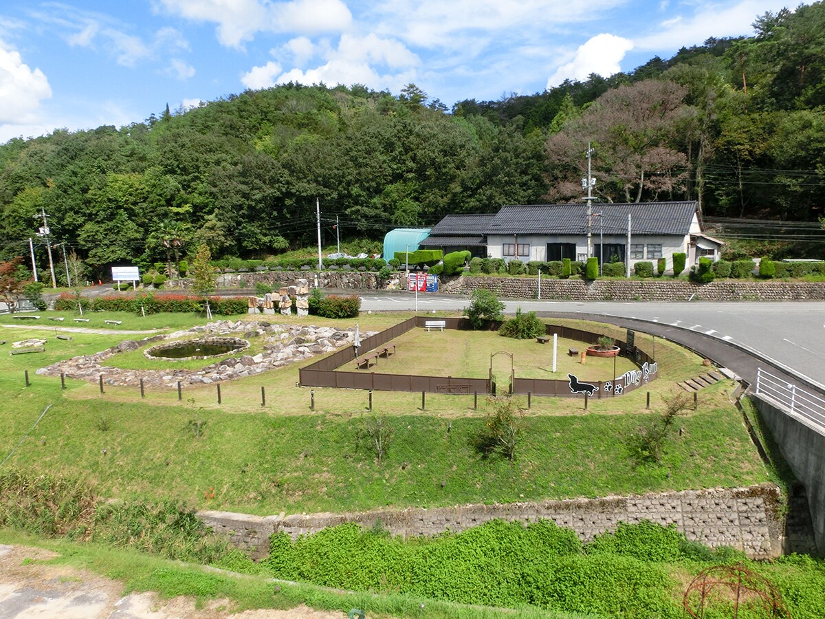 遛狗場全景