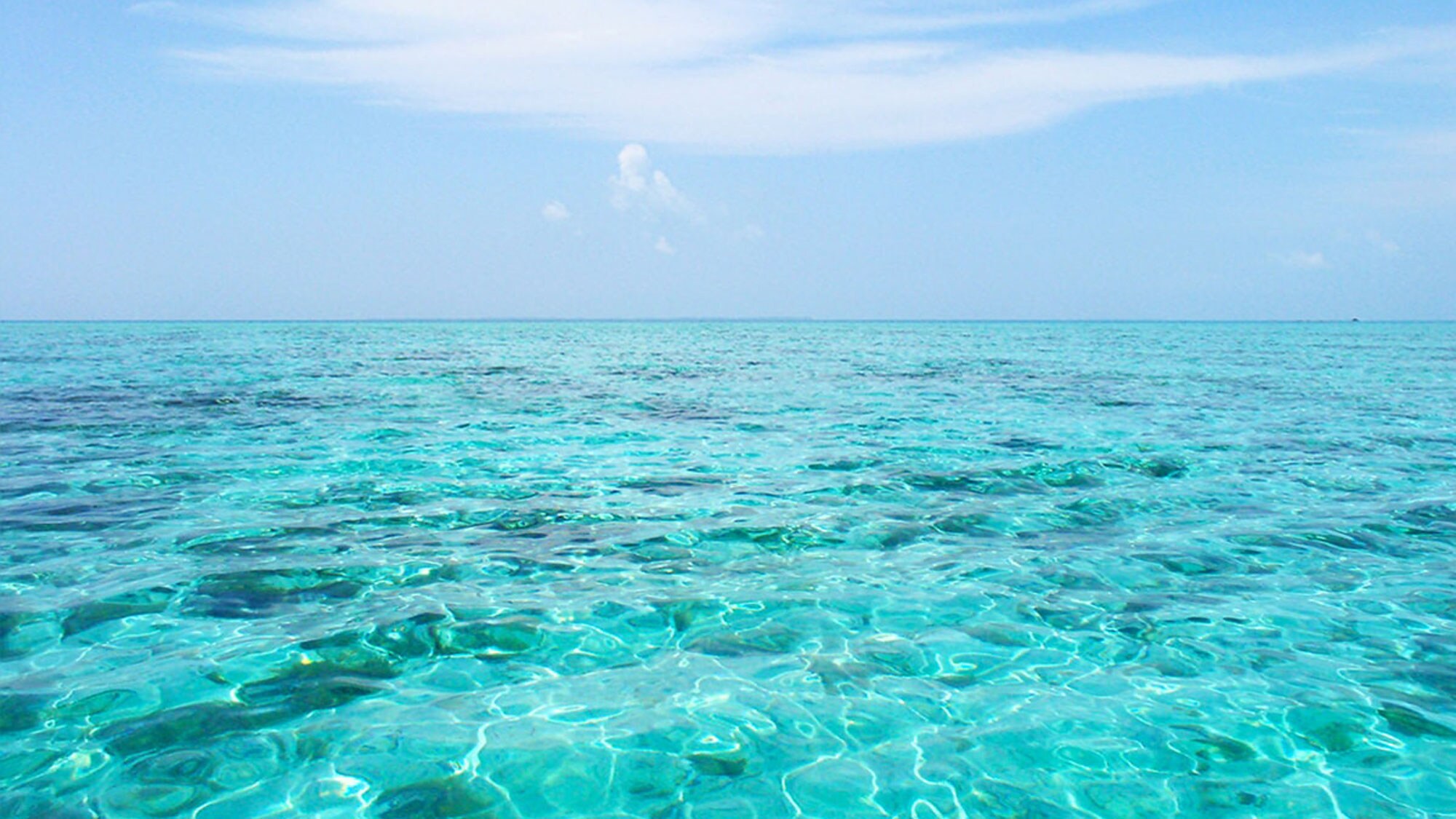 【海】