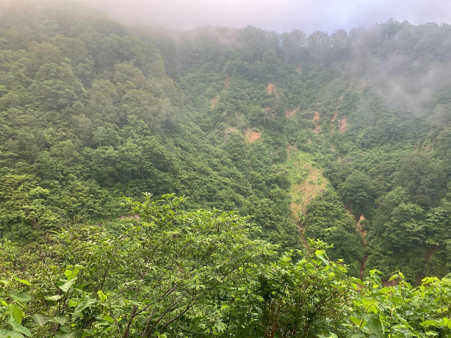 D25F05E5-79DF-4C49-B0C3-C492BF25452C.jpeg