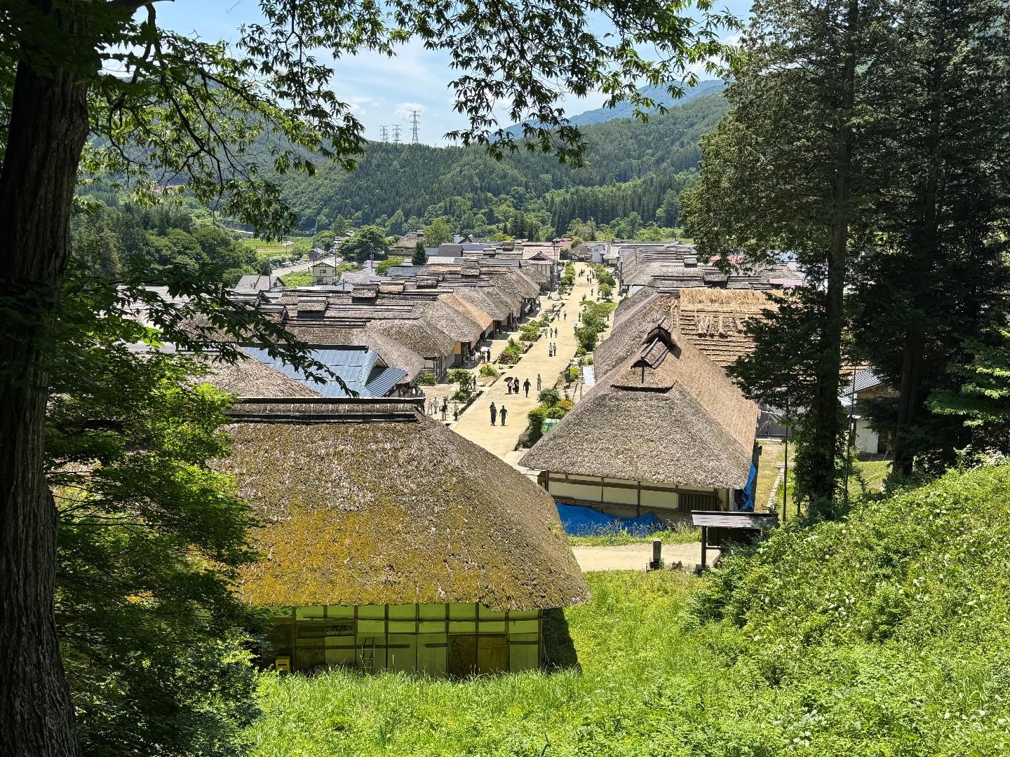 IMG_7140.jpeg