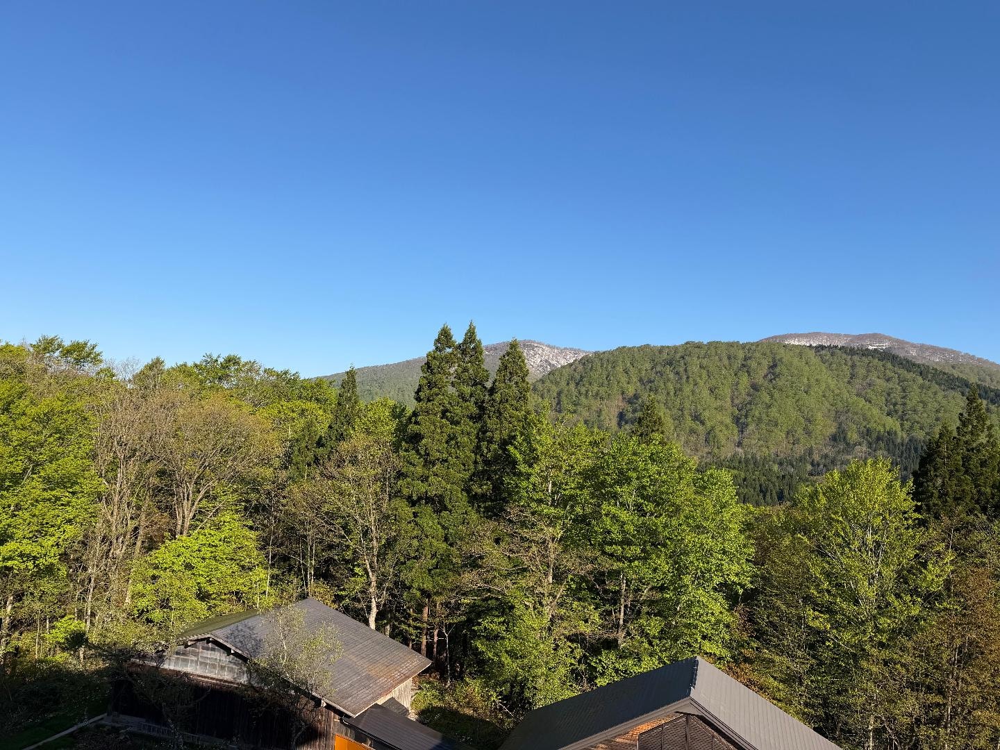 42F1600D-35EE-4530-B3CA-DE7EC959285D.jpeg