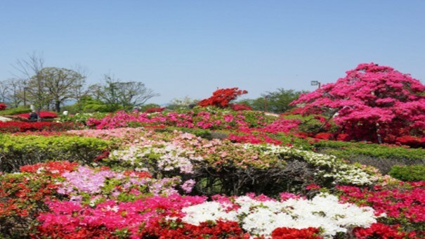 [Kurume Hyakunen Park] About 10 minutes by car from the hotel