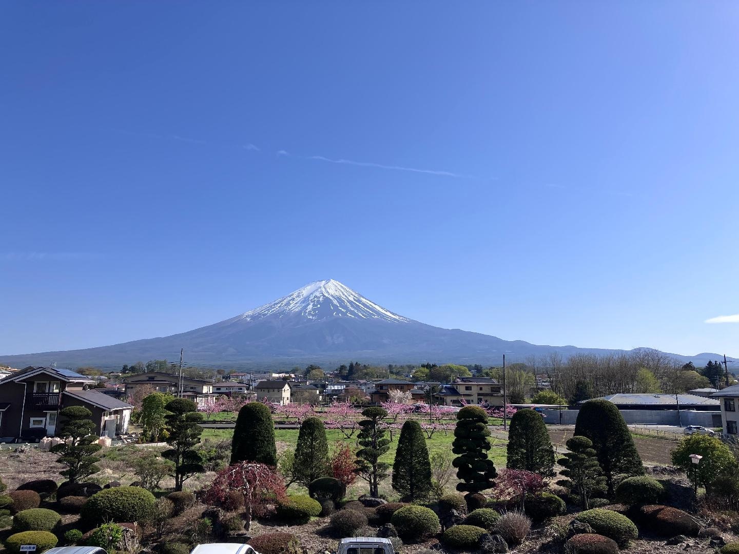 8B7A017C-663C-4720-AA9E-69B633142647.jpeg