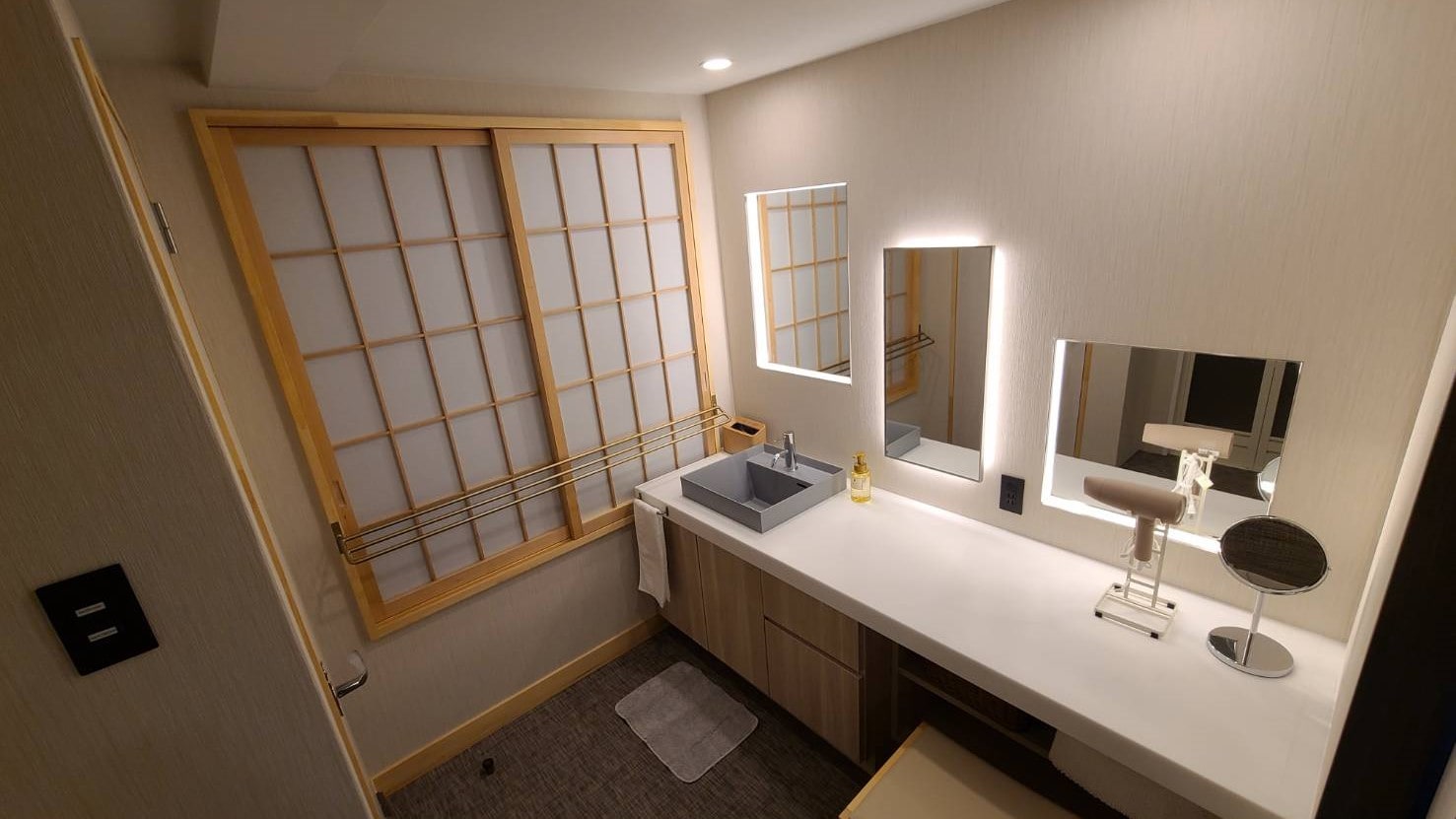 Special Room 202 Washroom