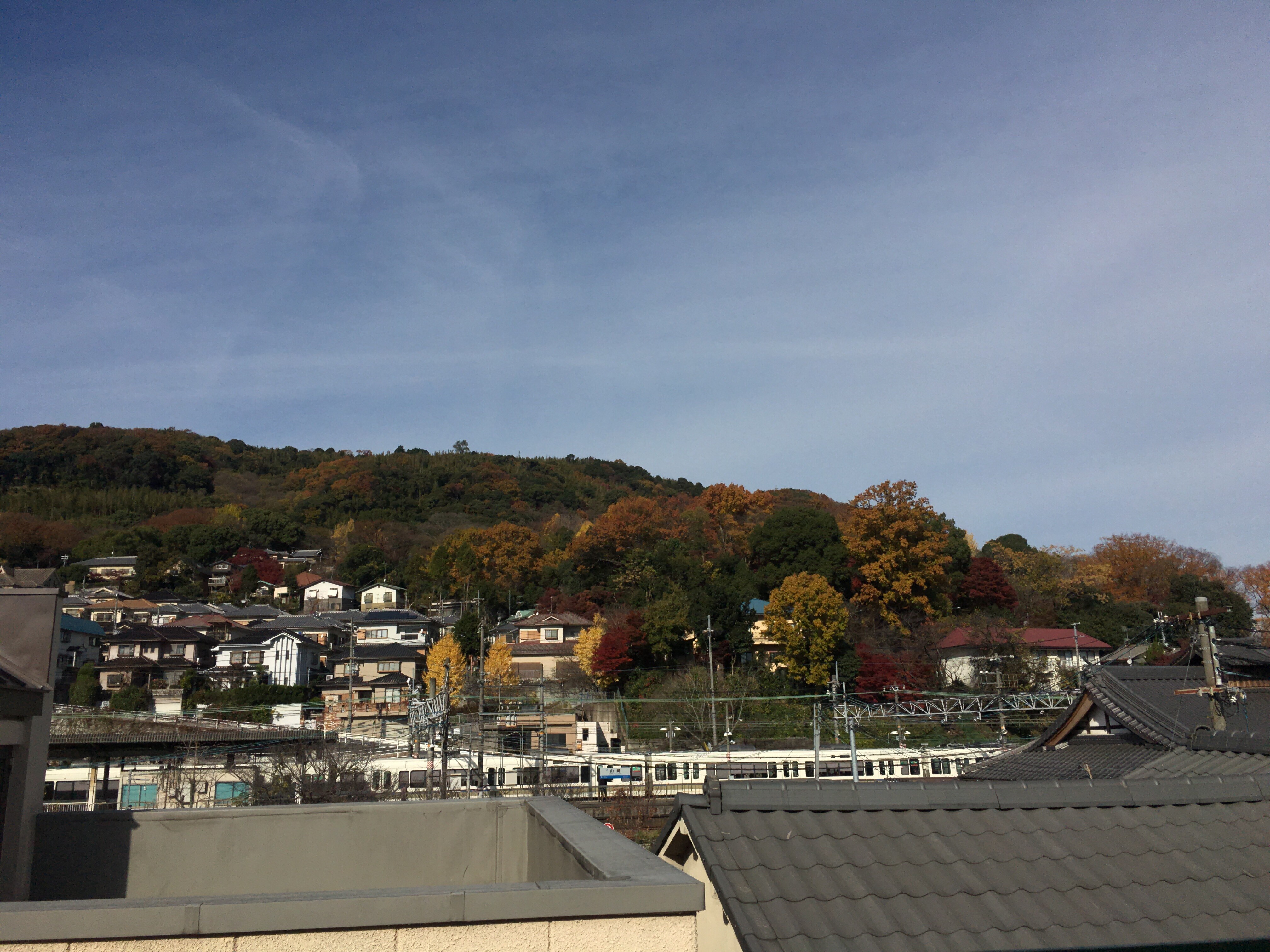 天王山的秋葉（2015年12月在露台拍攝）