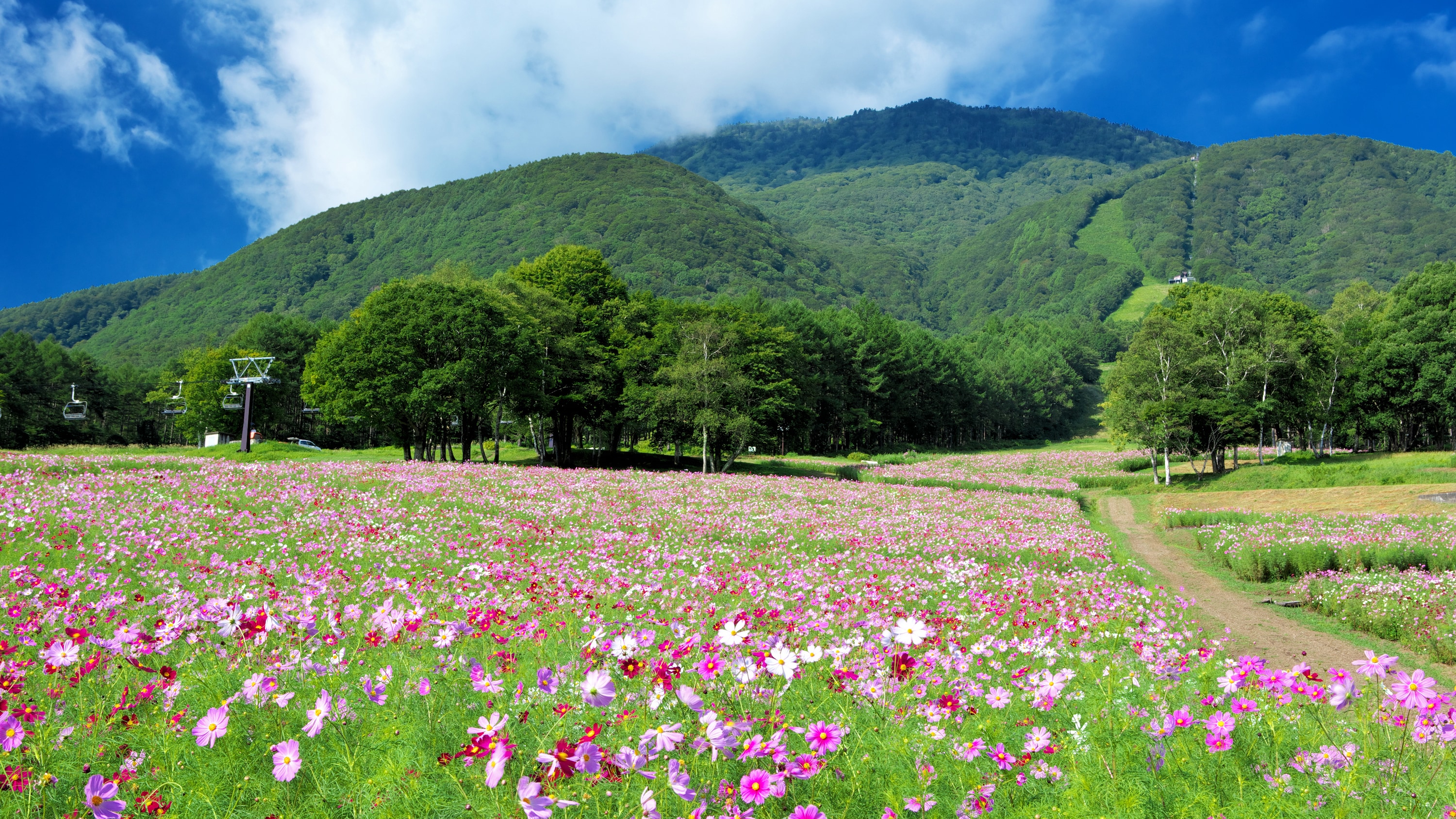[Other] Akakura and surrounding scenery and nature