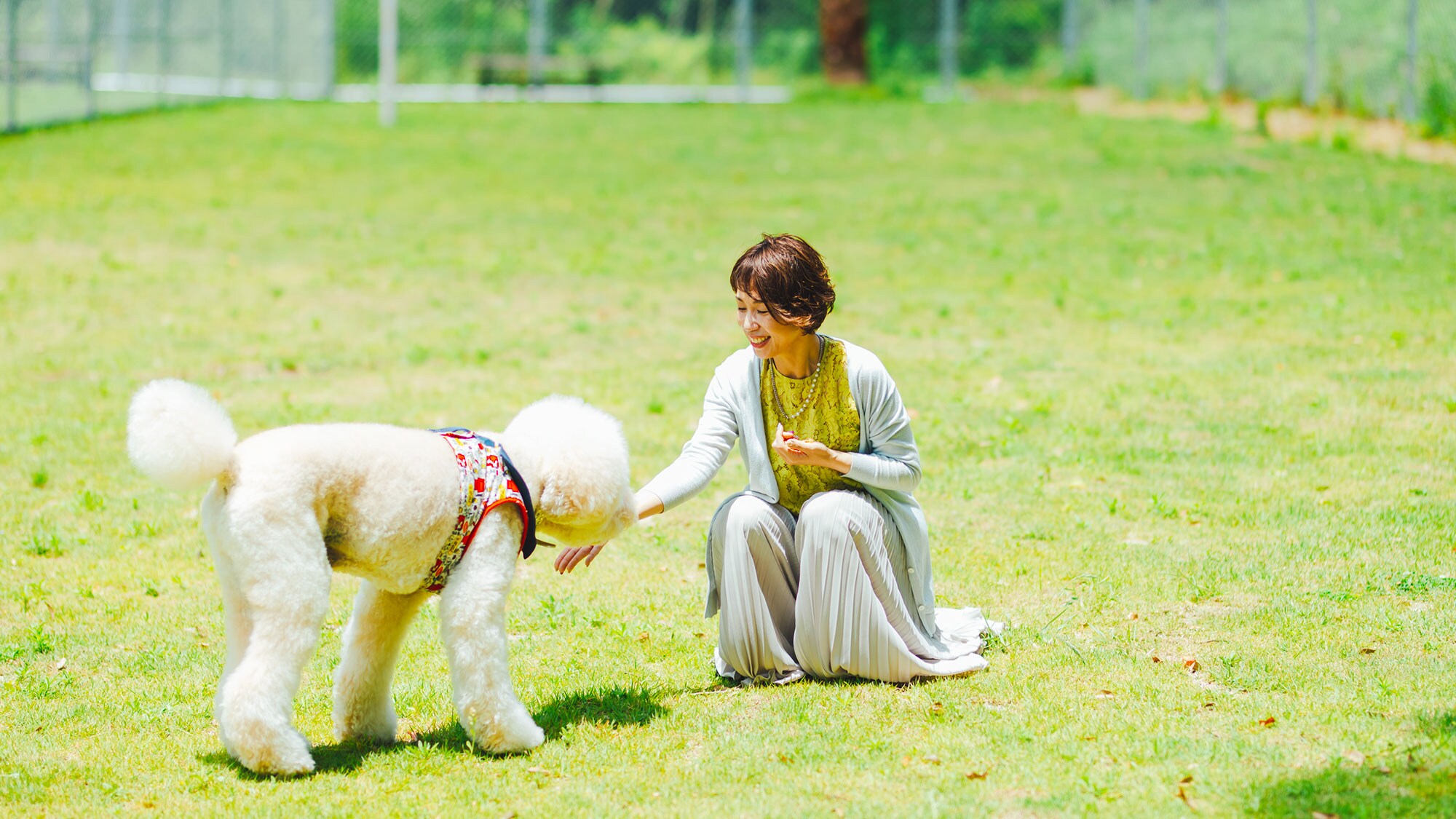 [Dog run] You can play freely with your precious dog.