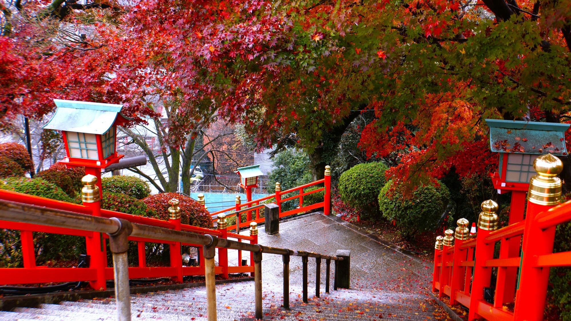 A spectacular view only available in autumn: Enjoy a soothing moment while overlooking the autumn leaves at Orihime Shrine and the streets of Ashikaga.