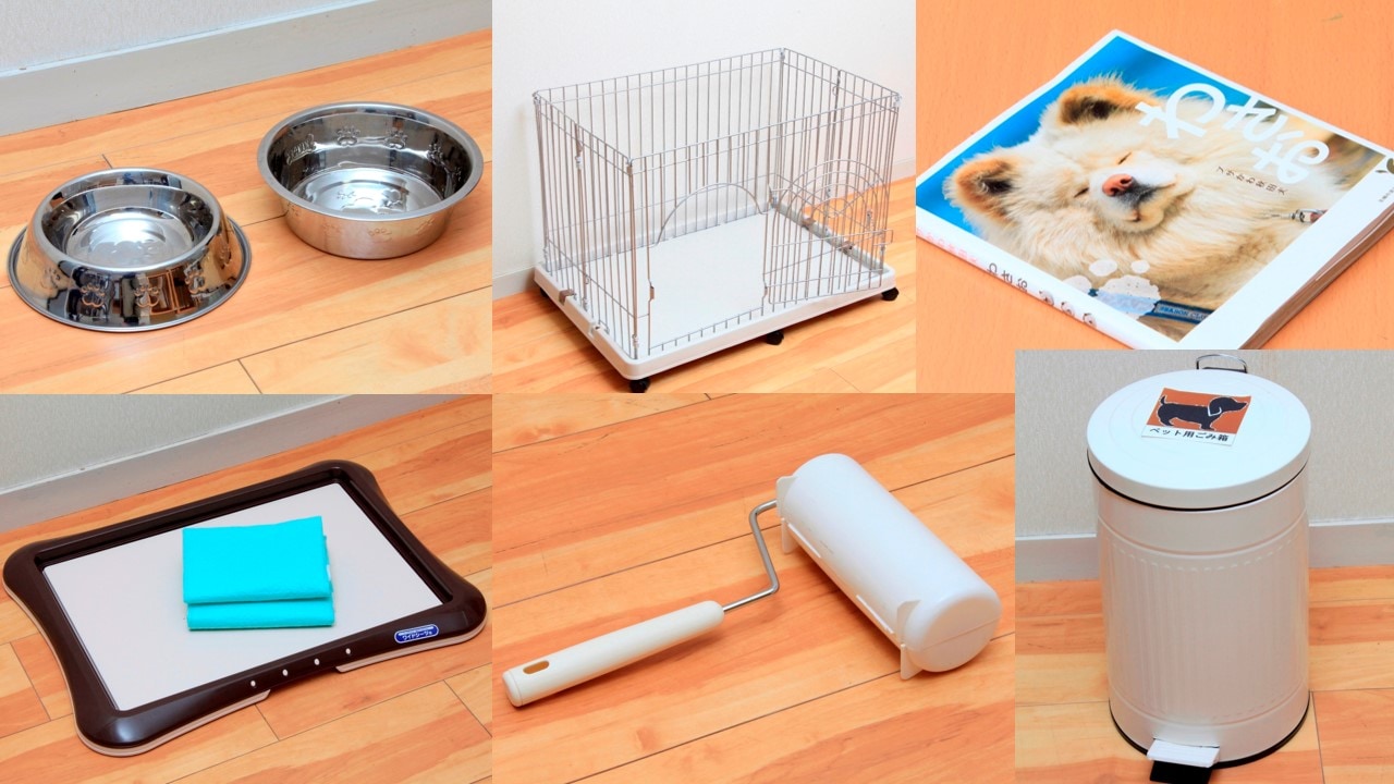 [Dog room] We have convenient dog goods available.