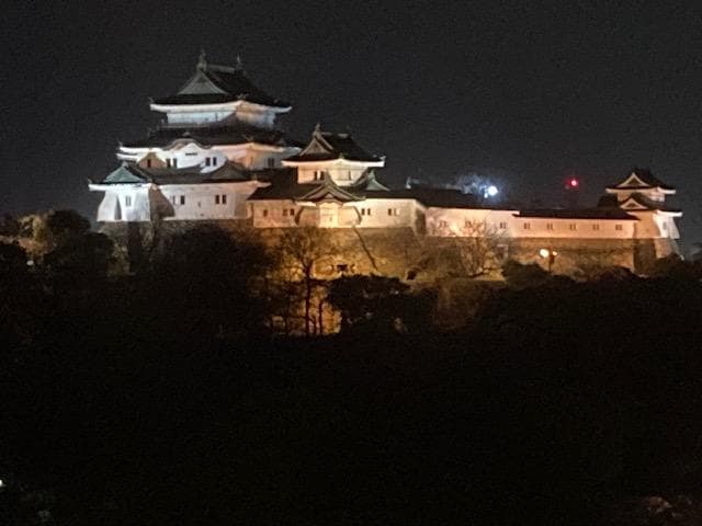 和歌山城.jpg