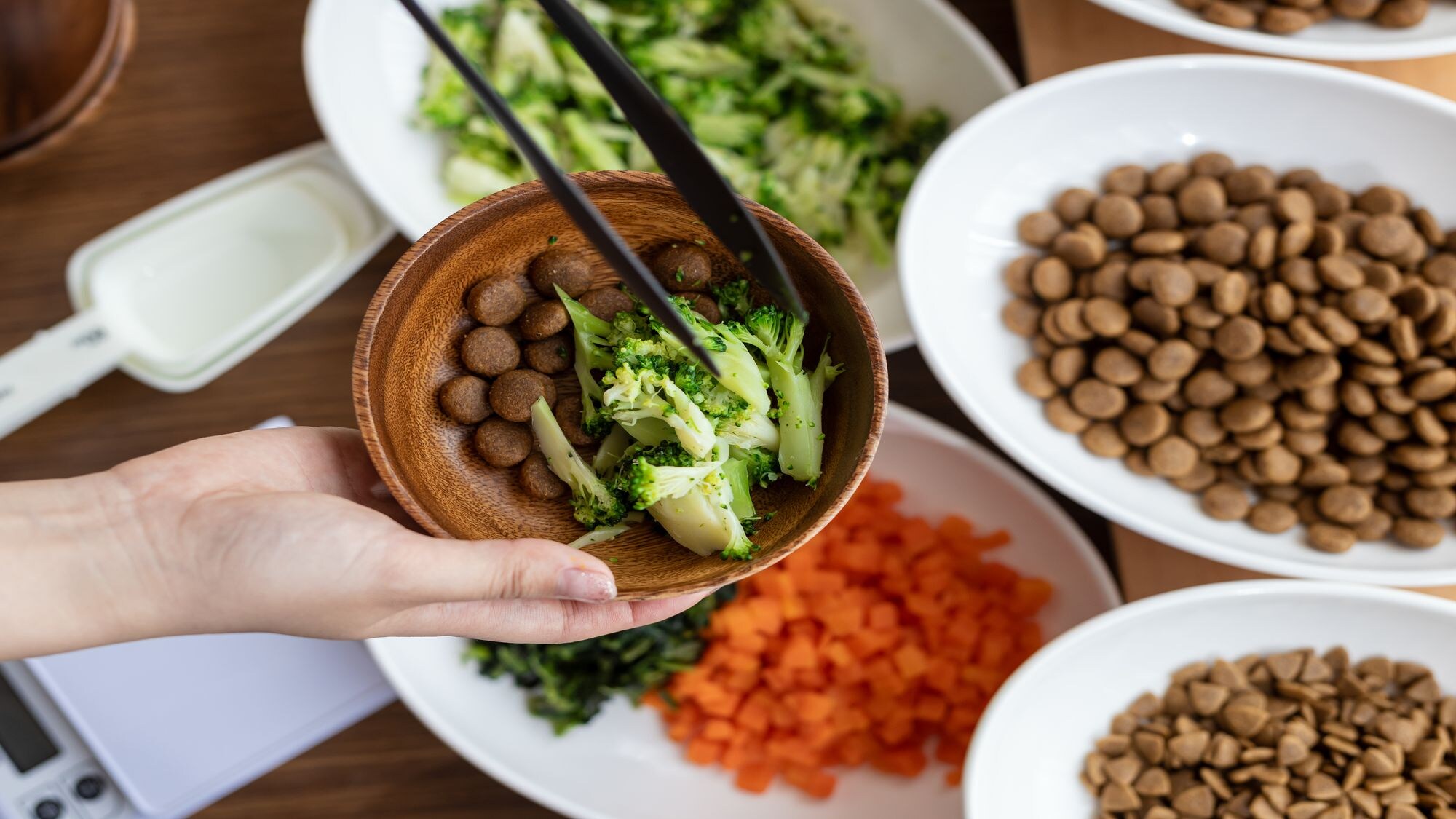 [Breakfast Buffet] A wide variety of menu options are available for dogs.
