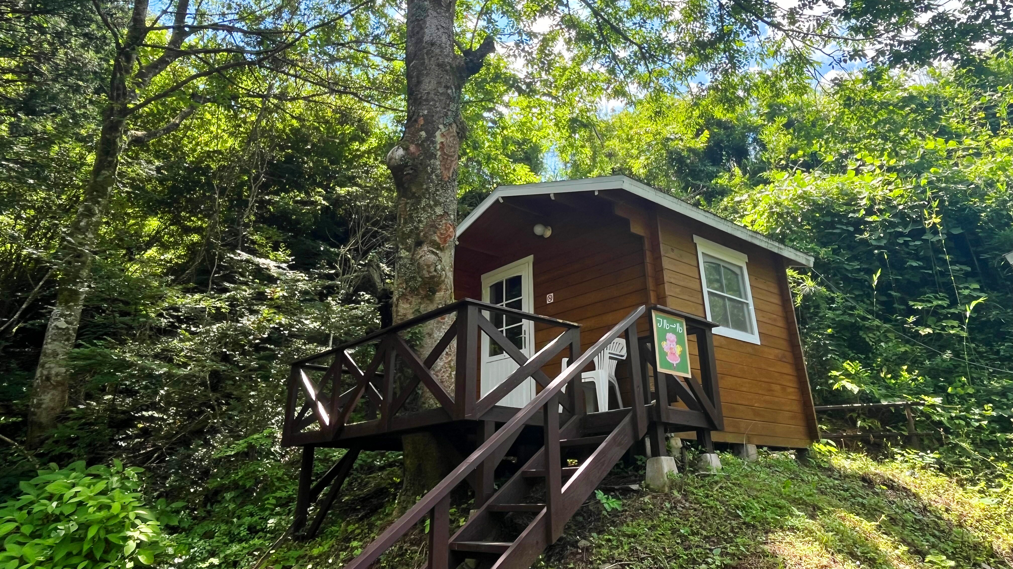 A cottage on a hilltop with Fleur Jacques (a large tree) towering over it