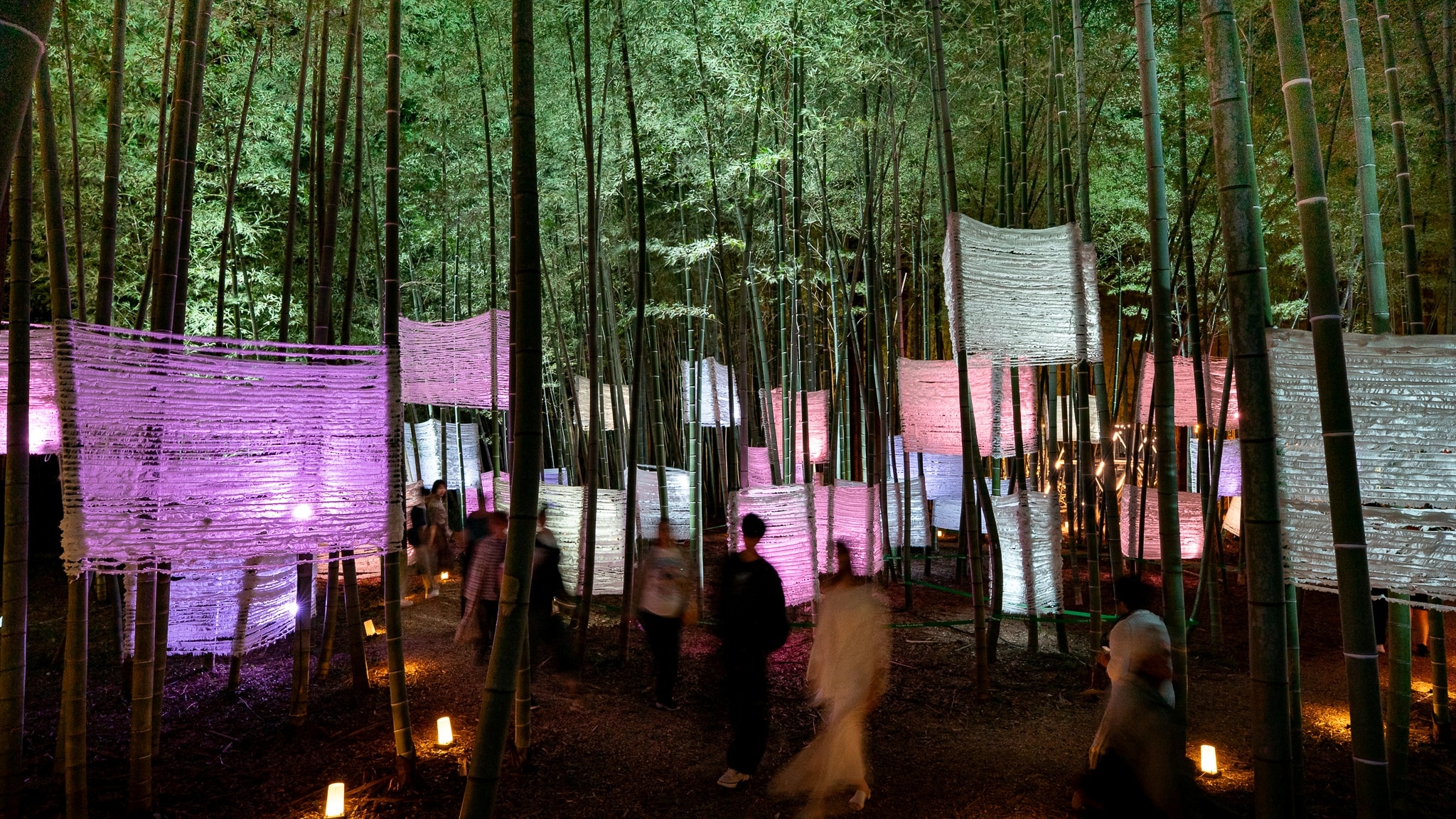 Tagami Bamboo Boo
