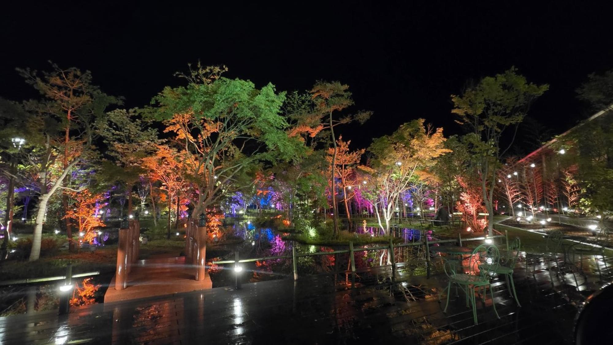 Nighttime garden