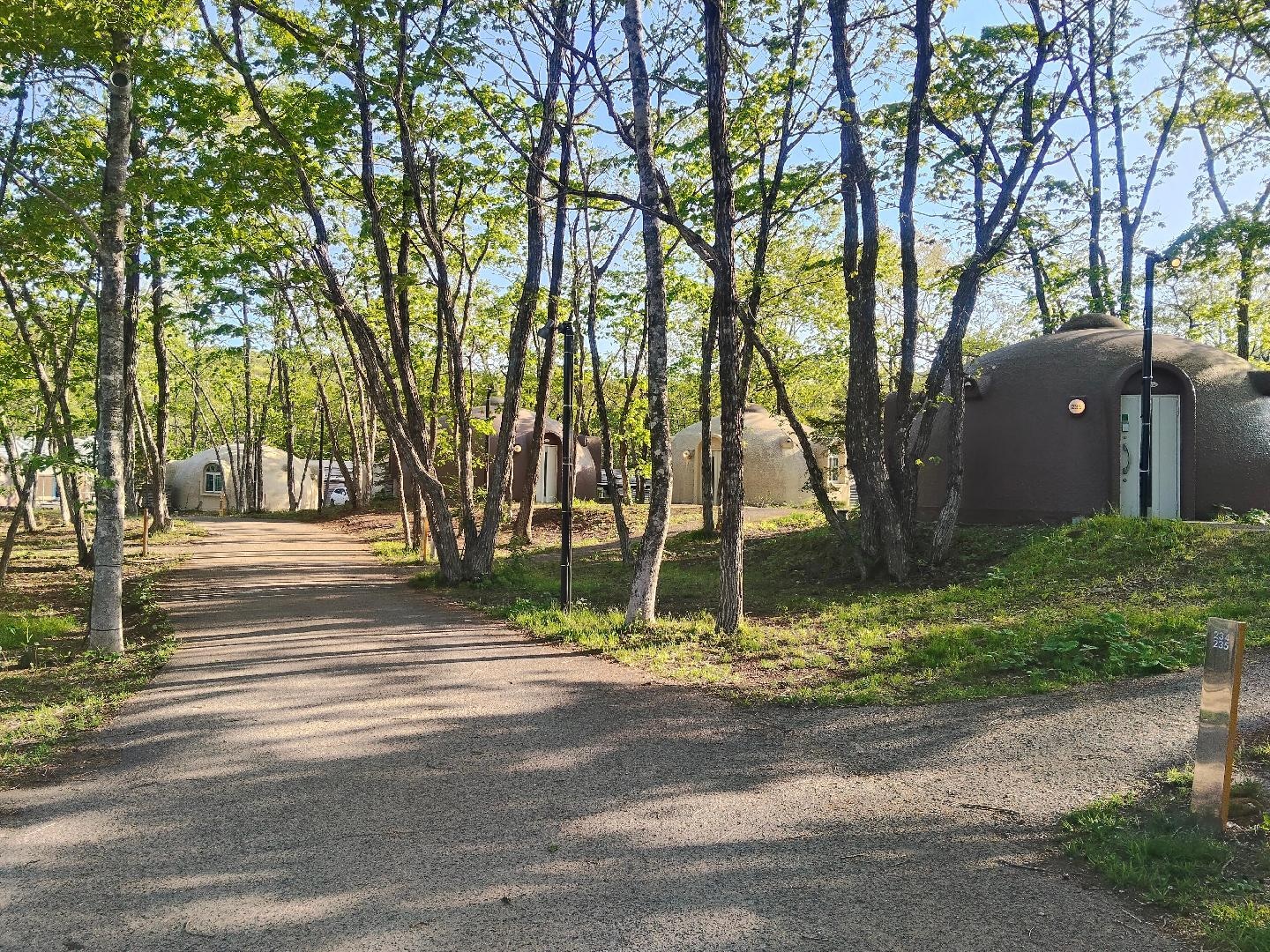 1103.jpg