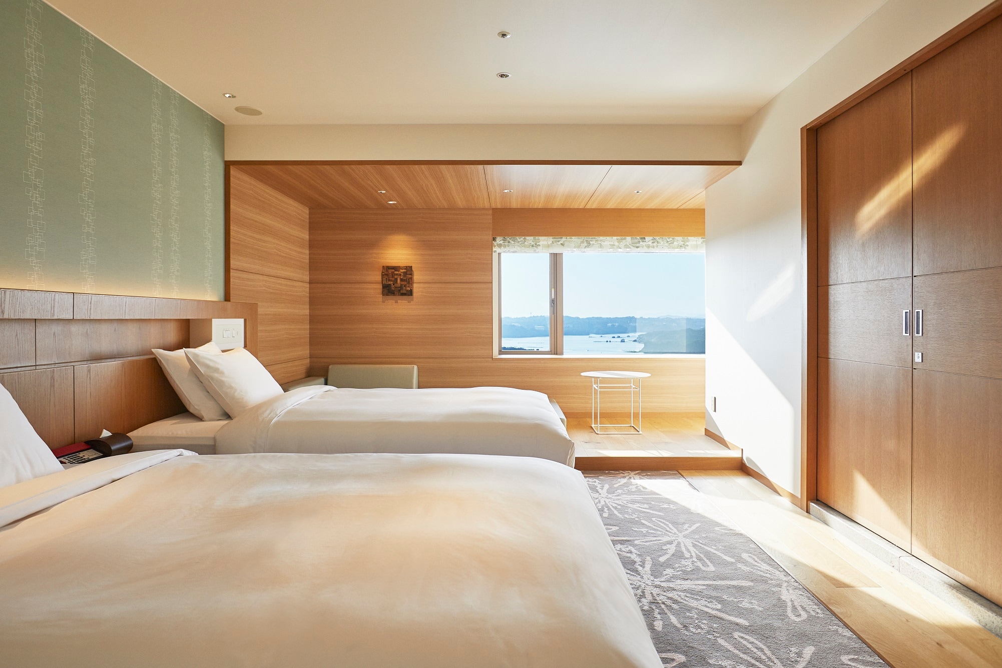 Premium Suite Image