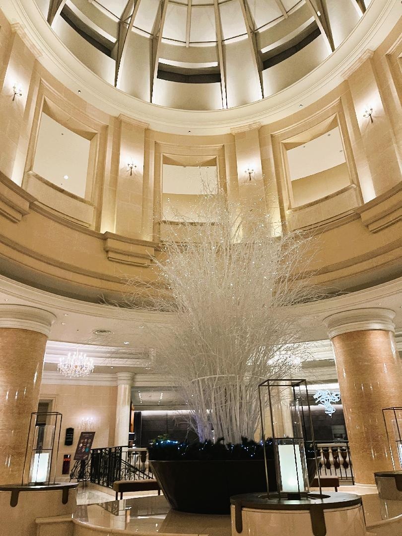 IMG_2549 - コピー.JPG