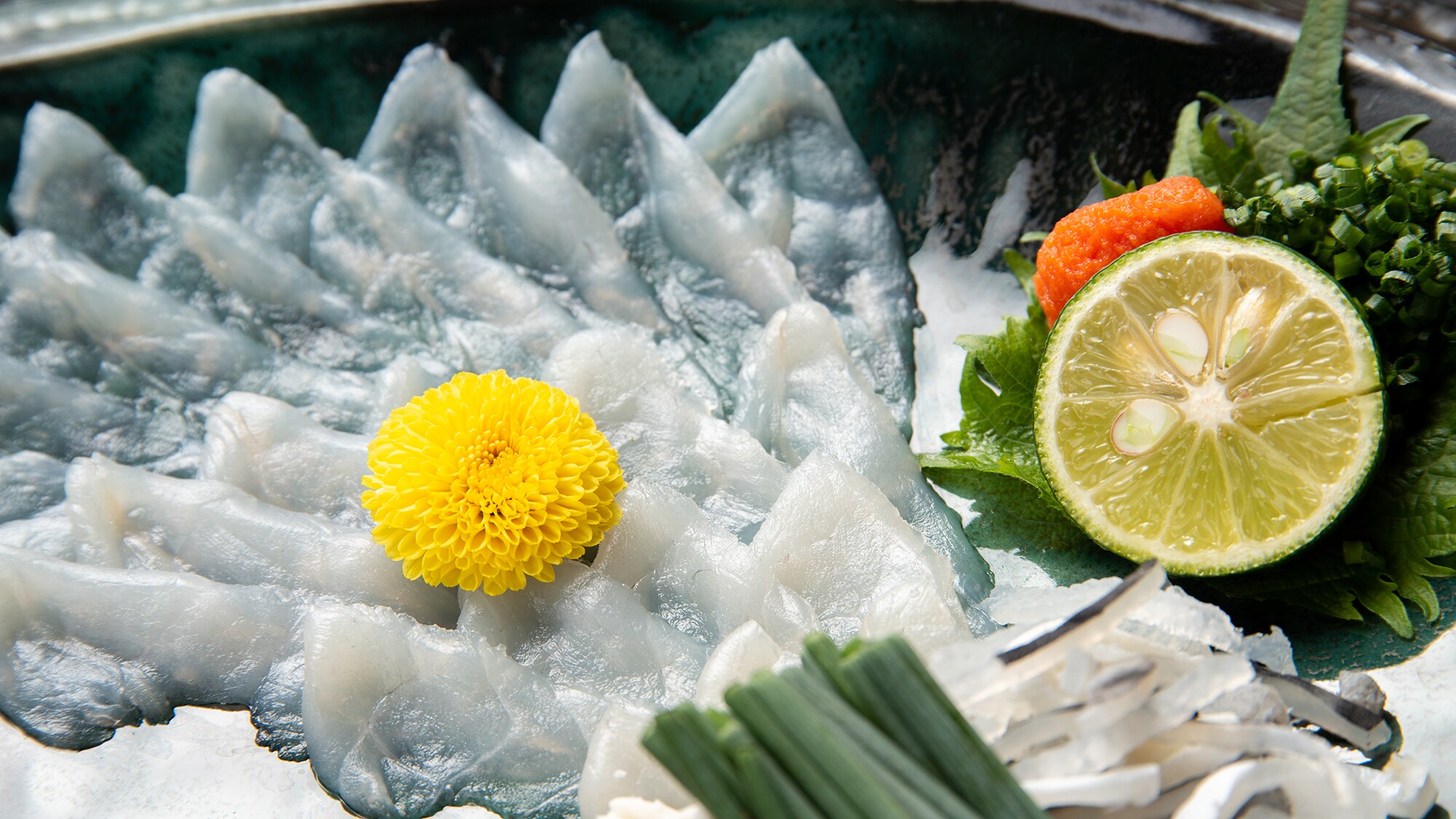 *[Ví dụ về bữa tối] Món kaiseki cá nóc hổ/Sashimi cá nóc. Kết cấu giòn. Càng nhai, bạn sẽ càng cảm thấy ngọt và ngon hơn.