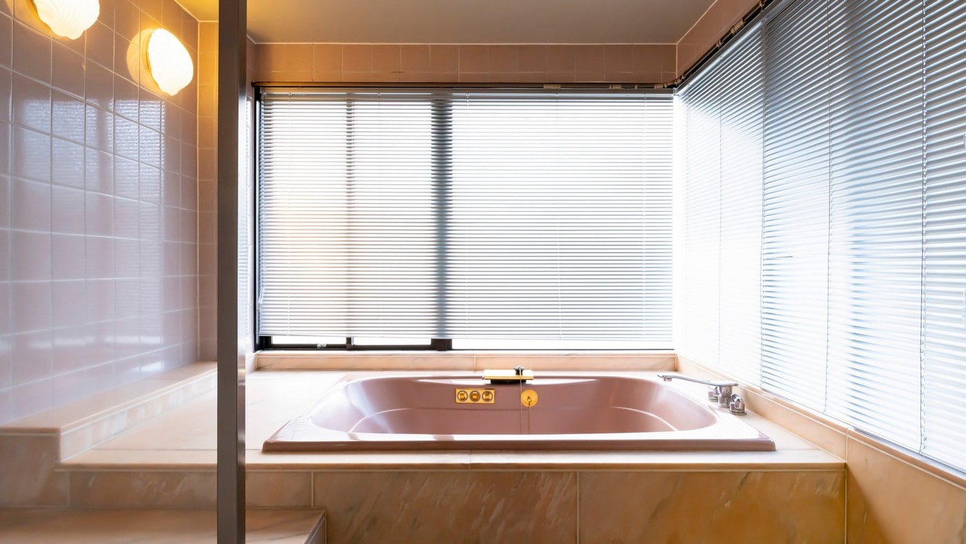 [West Wing top floor semi-suite] Bathroom
