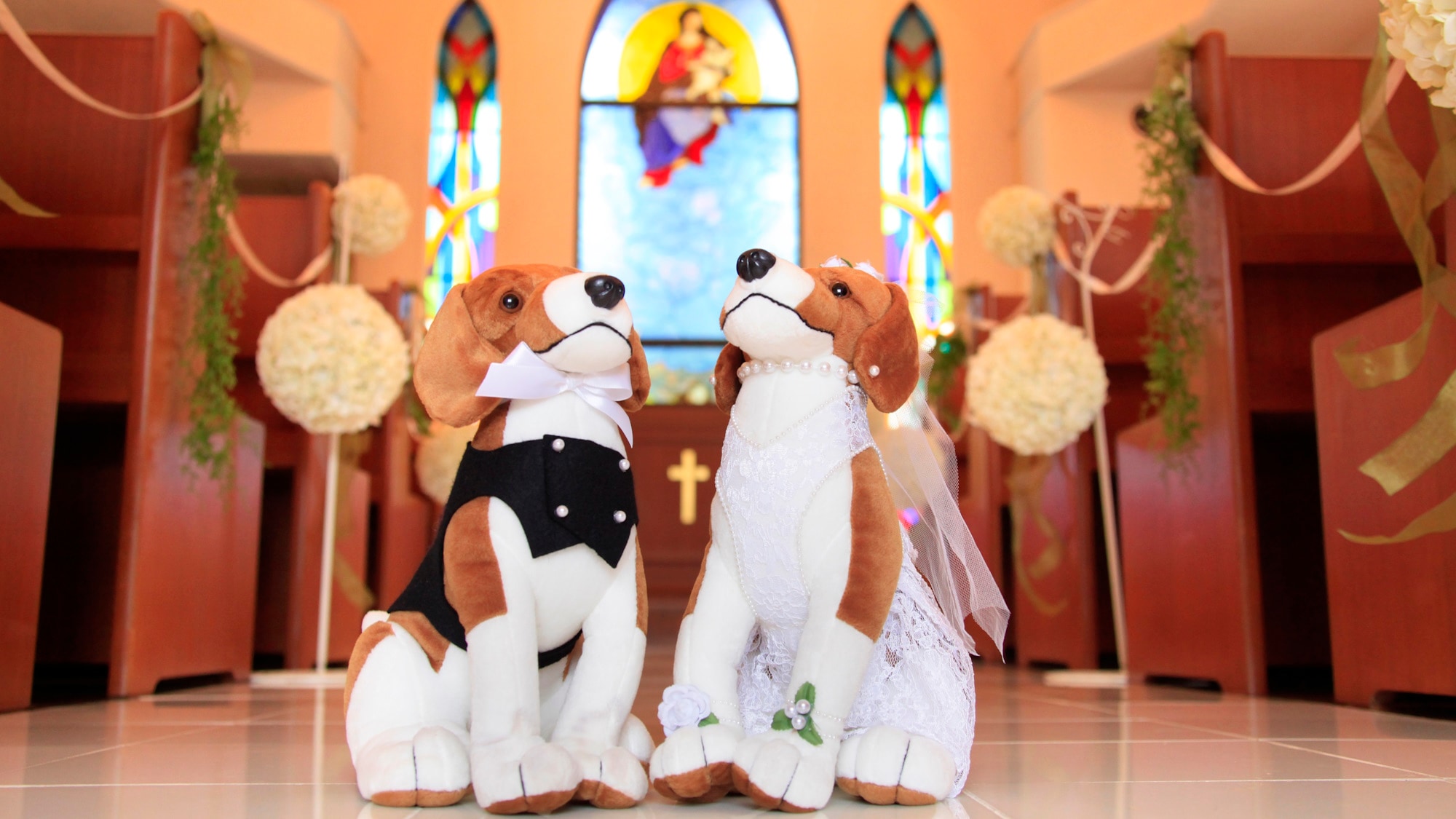 [Dogs allowed/Deluxe Twin] Only one room available per day. Enjoy your stay with your dog.