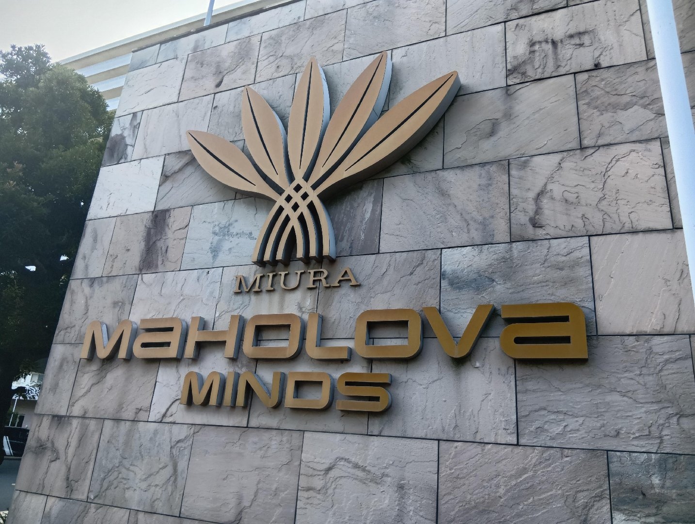 1000017223.jpg