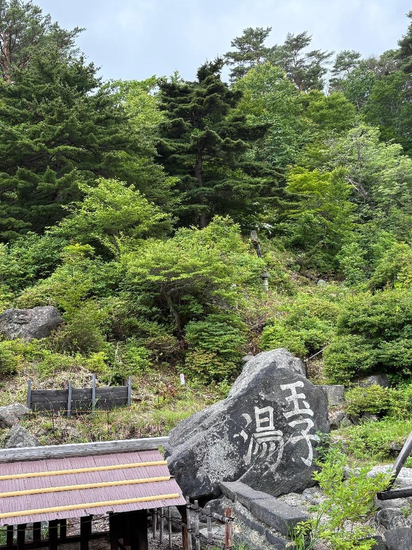 D9368967-9588-4A10-A2EC-282D502E0A88.jpeg