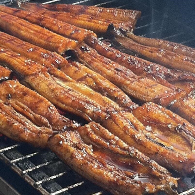 Speciality Eel Square