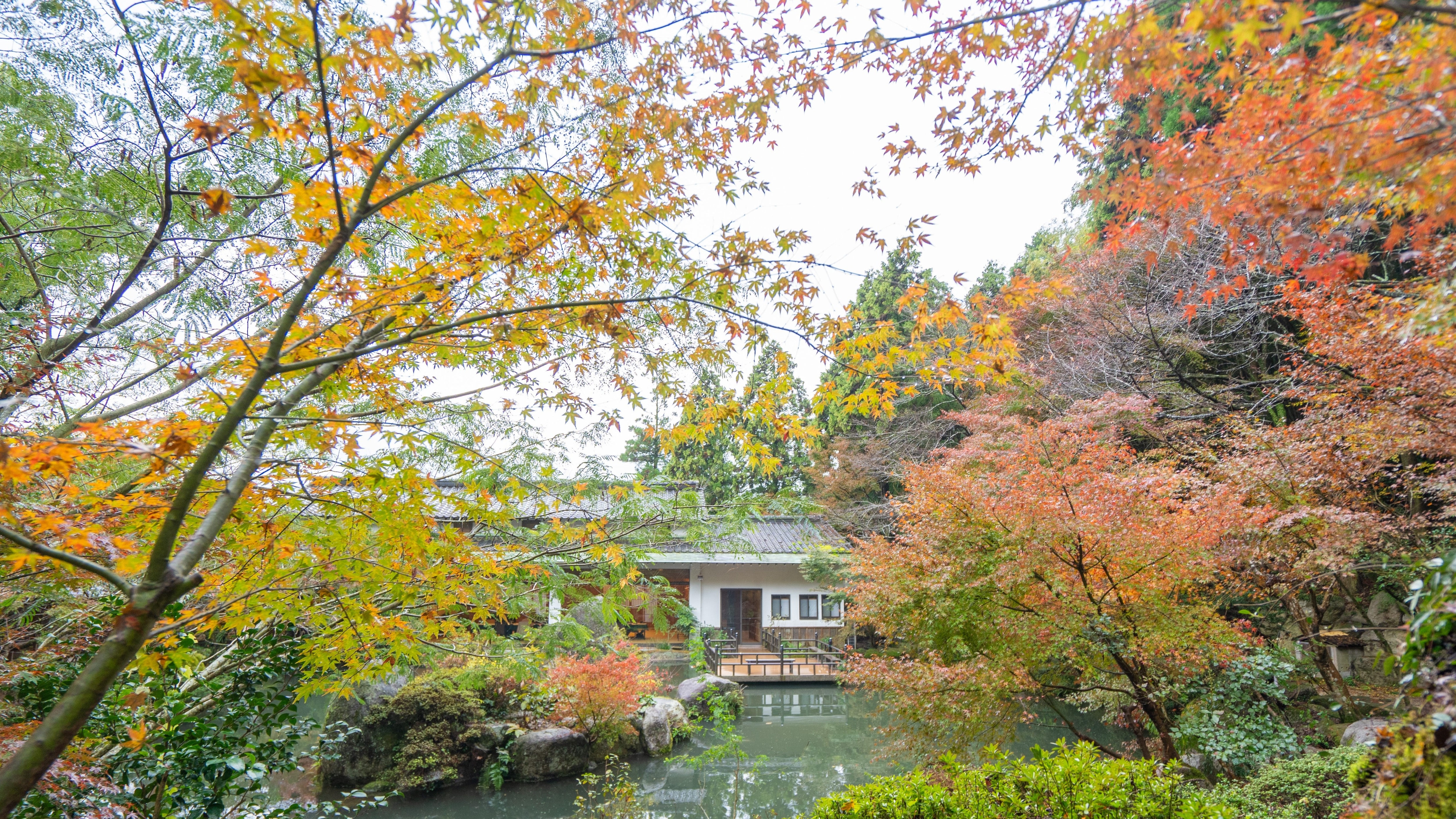 【courtyard】