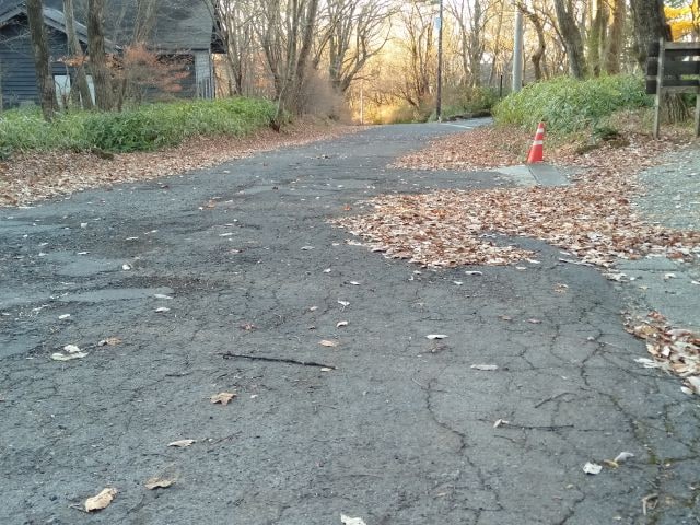 今朝の道路状況