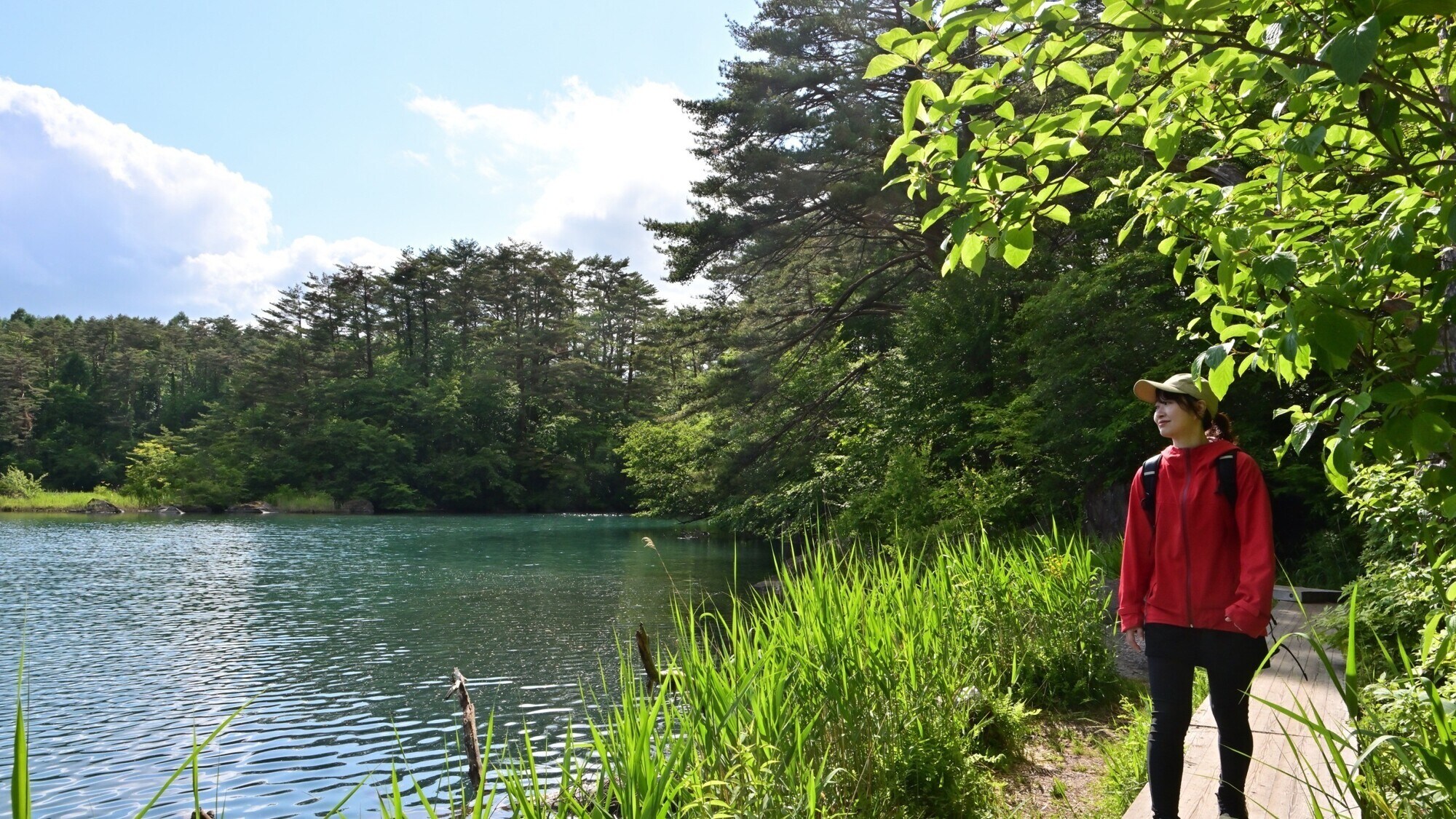 Goshikinuma Nature Trail 4