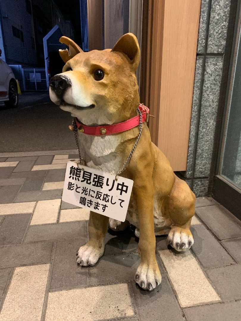 C8FC80B5-B8D9-493F-B92E-7475E047F872.jpeg