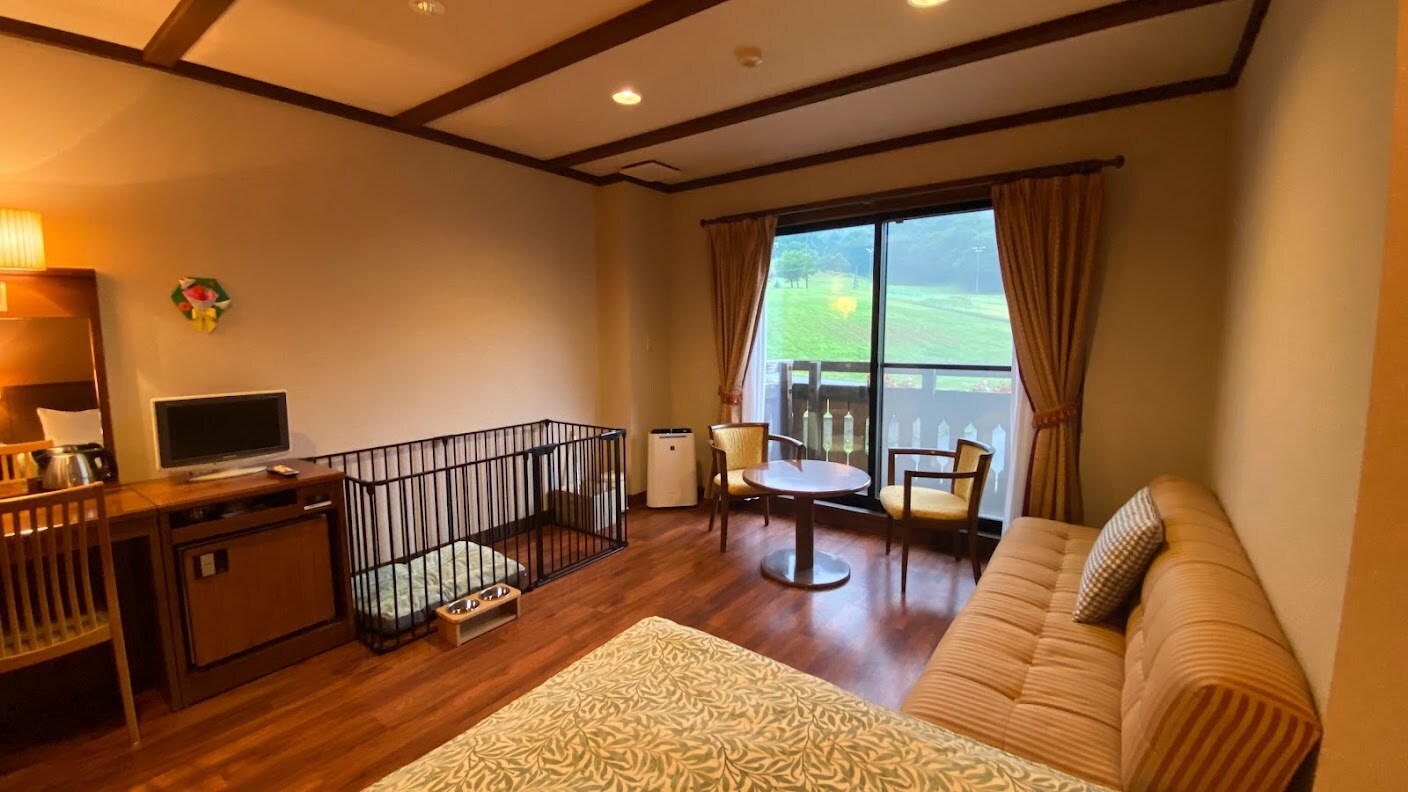 Dog-friendly twin room