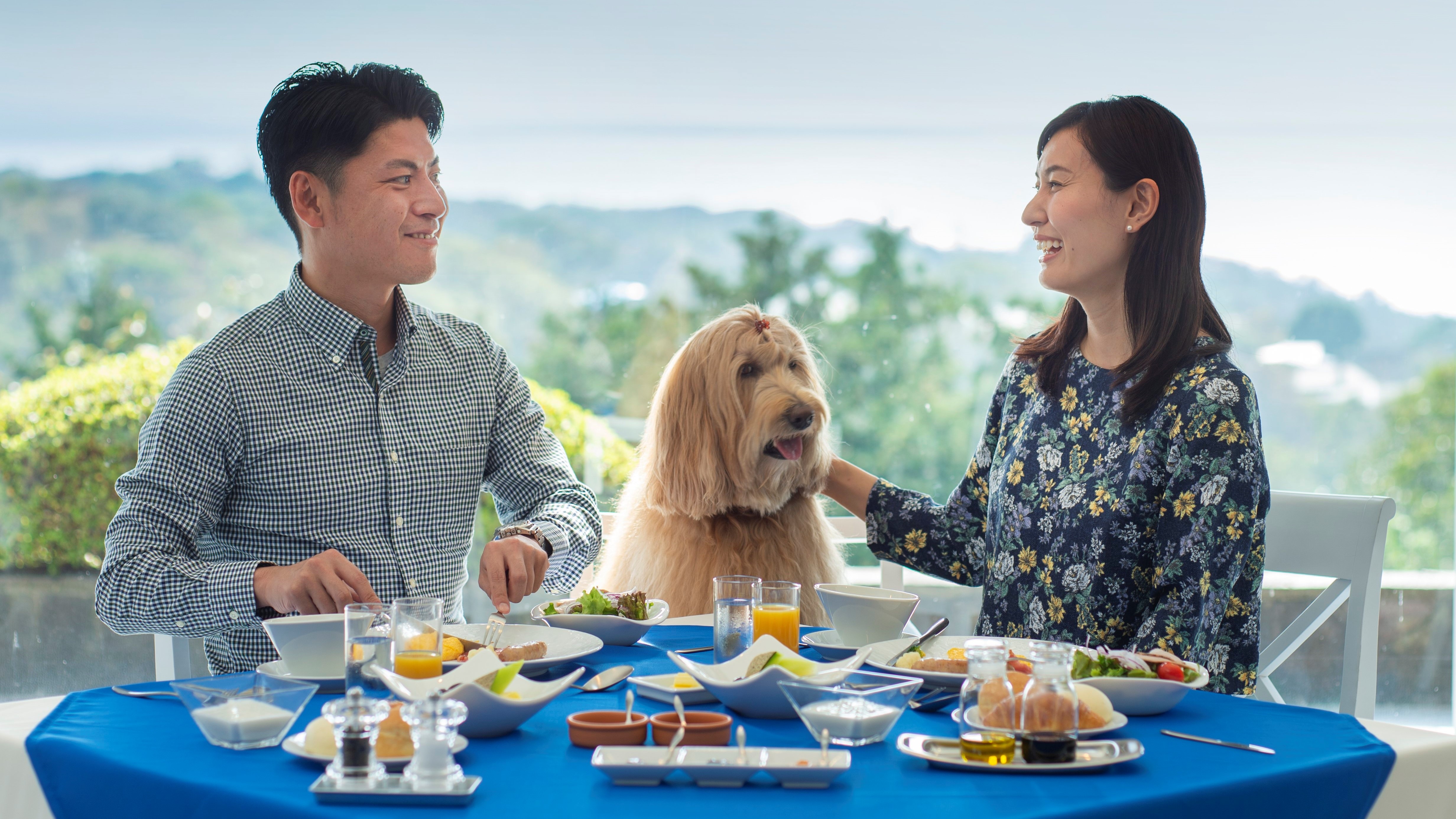 Enjoy a refreshing breakfast with your dog