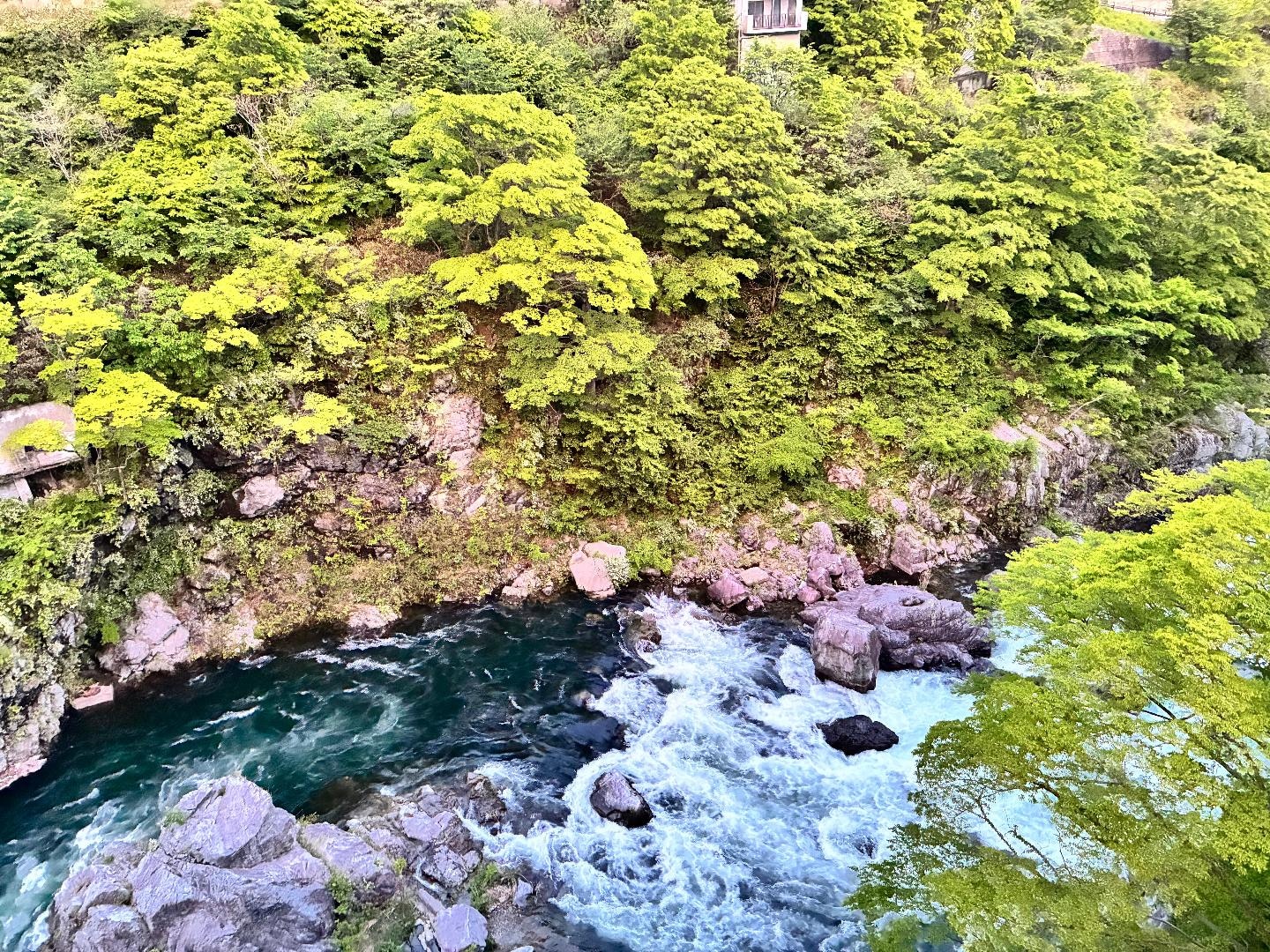 IMG_0872.jpeg