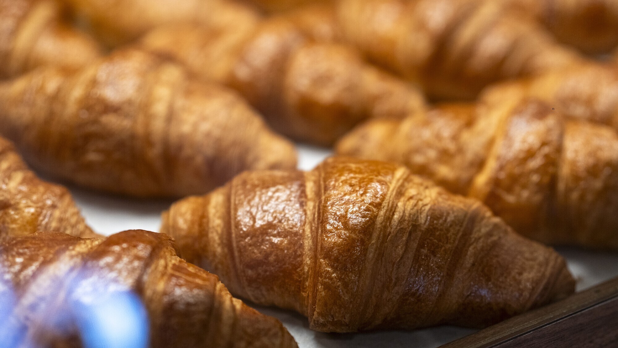 Croissants from Umeii Bakery